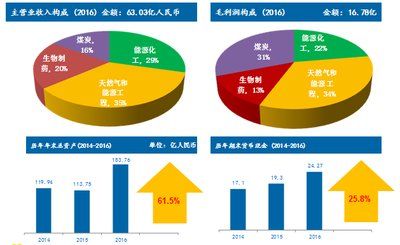 2024新奥正版资料免费,数据整合设计解析_SHD19.848